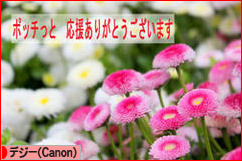 にほんブログ村 写真ブログ デジタル一眼（Canon）へ