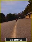 にほんブログ村 写真ブログ 京都風景写真へ