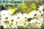 にほんブログ村 写真ブログ デジタル一眼（Canon）へ